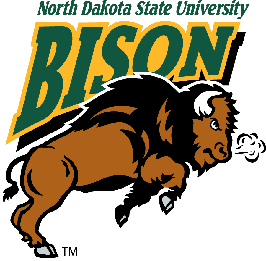 North Dakota State Bison 1999-2012 Alternate Logo v3 diy iron on heat transfer